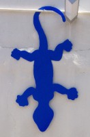 Salamandra azul
